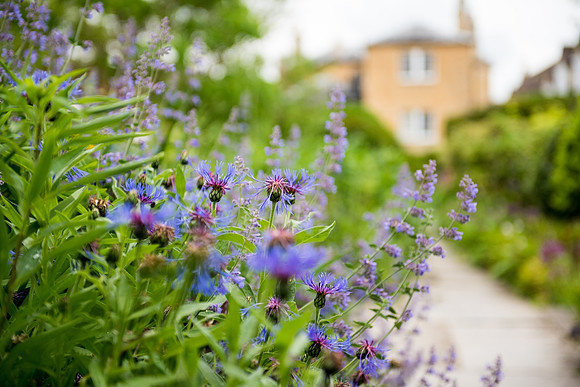 Cotswold Wedding Photographers