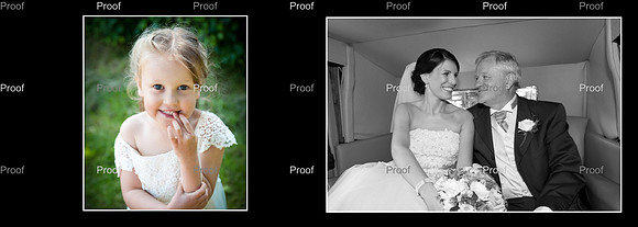 Sandon Hall Wedding Photography
