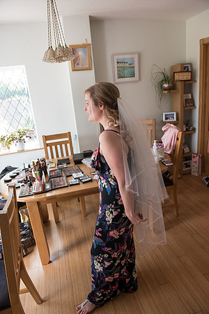 Alan and Fiona Wedding Photography at Badgers Mount