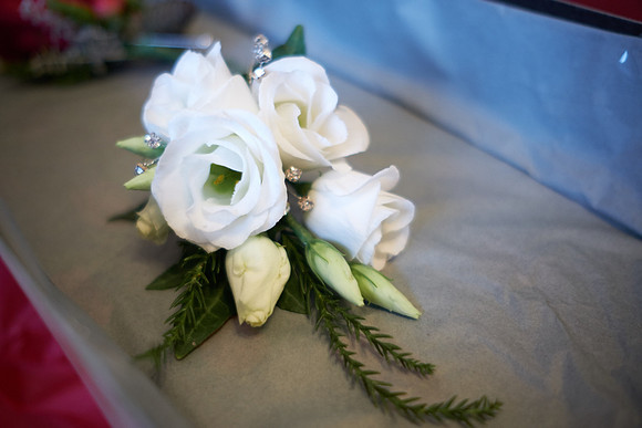 Aston Flamville and The Royal Arms Wedding Photography