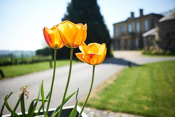 Wedding Photography at Hothorpe Hall