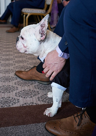Wedding Photography at Hothorpe Hall