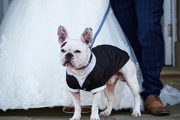 Wedding Photography at Hothorpe Hall