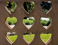 Ashton Lodge Wedding